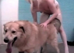 Doggy screws a yummy philander