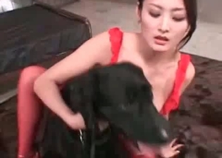 Small hound likes dirty bestiality sex