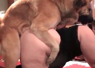 MILF and dog in the awesome animality XXX