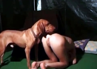 British dog impaled her naked pussy